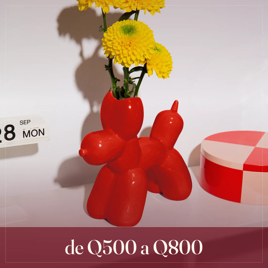 Selección de Q500 a Q800