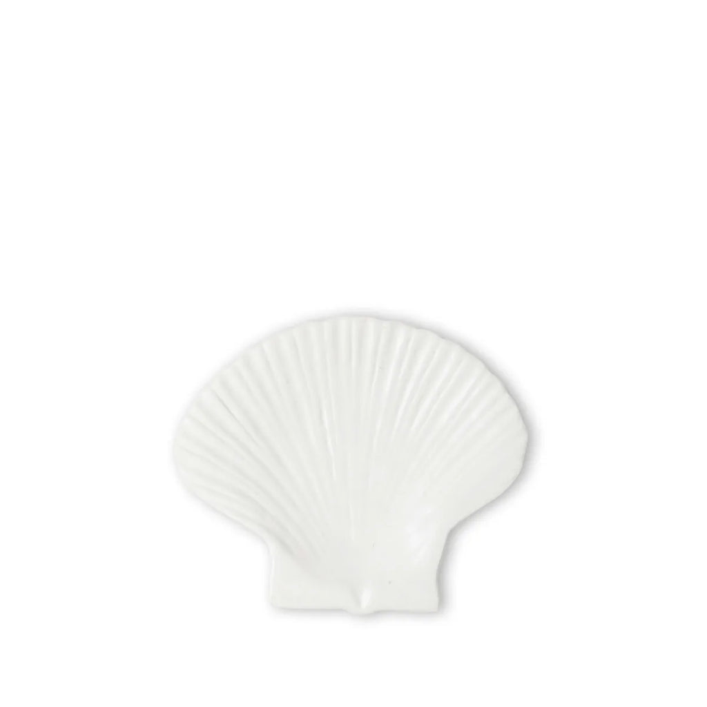 Plato Concha Blanco