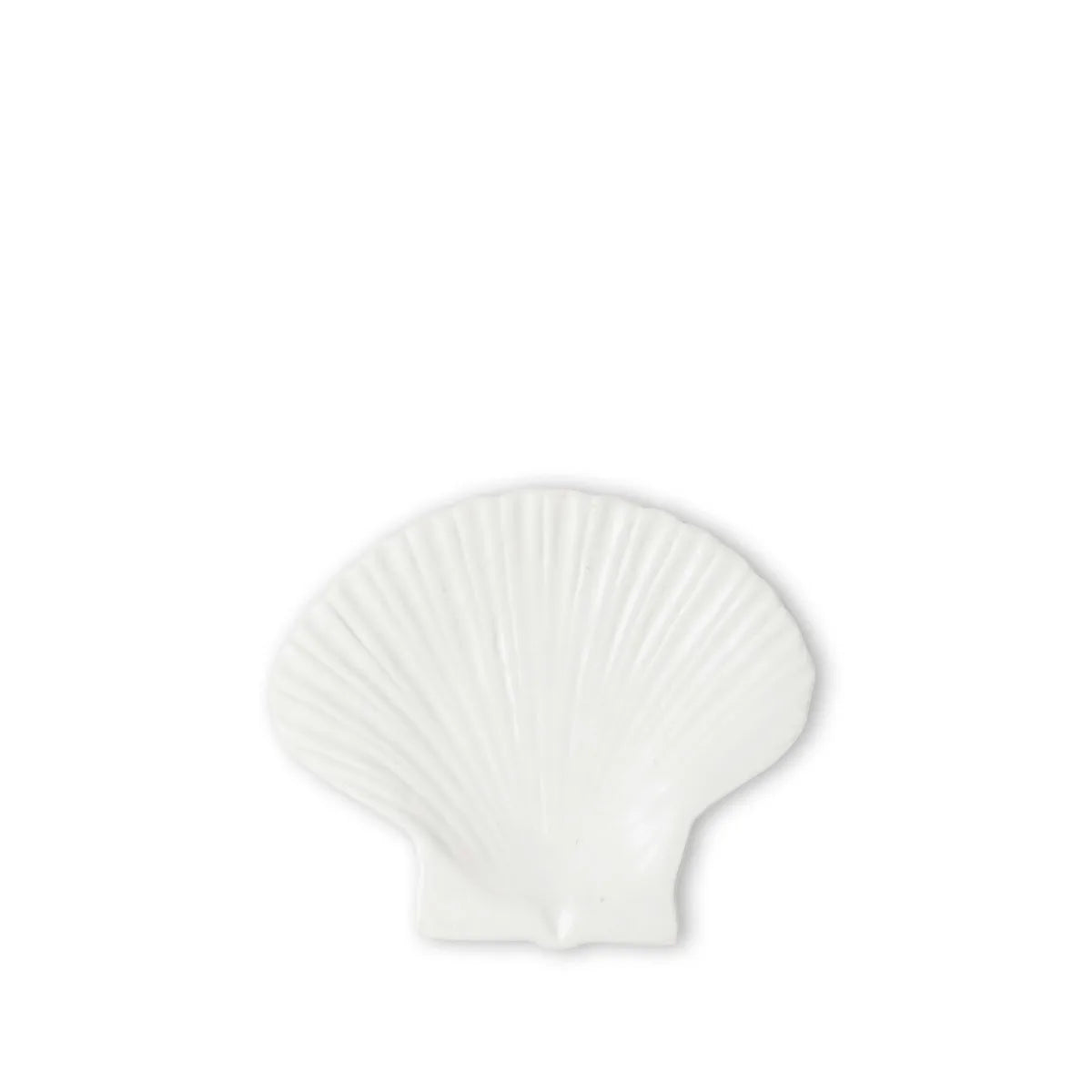 Plato Concha Blanco